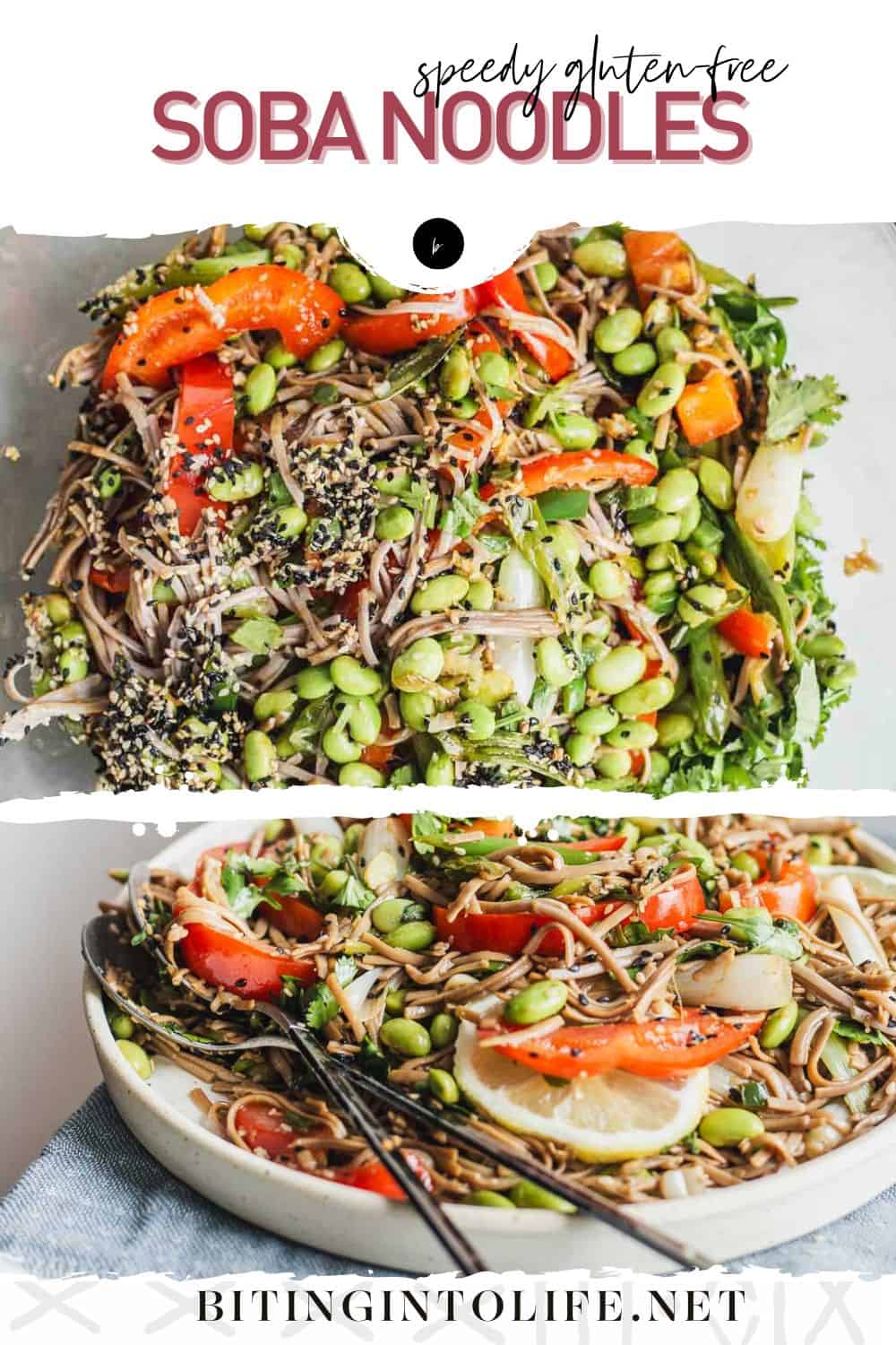 Speedy GlutenFree Soba Noodles Biting into Life