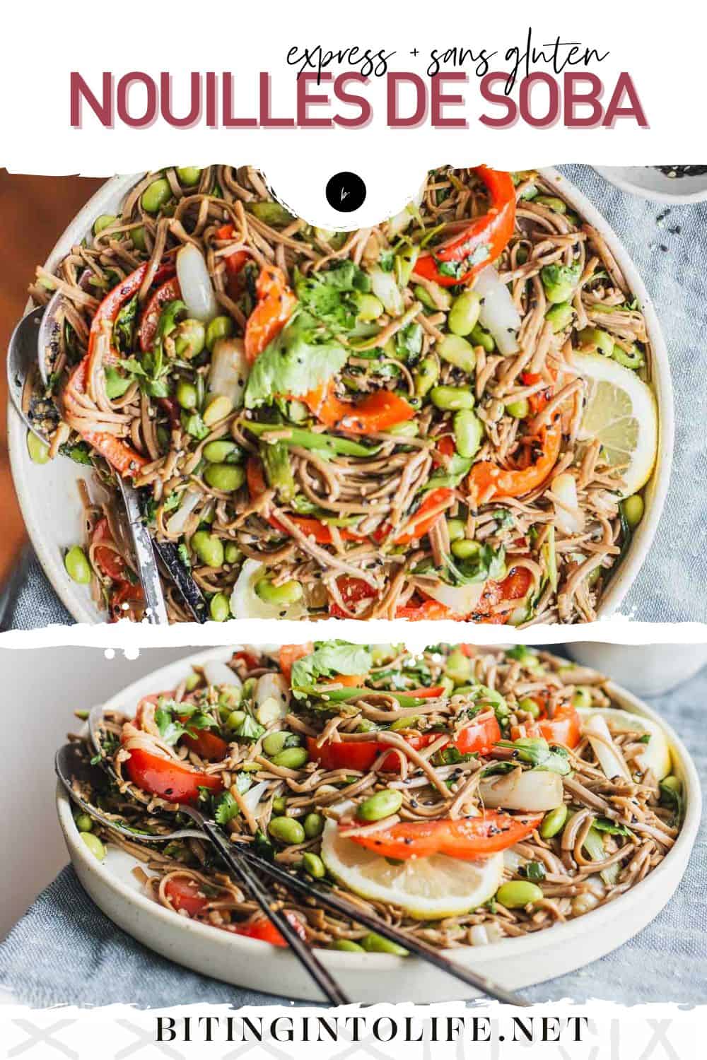 Nouilles soba avec oignons verts et edamame Mordre dans la vie