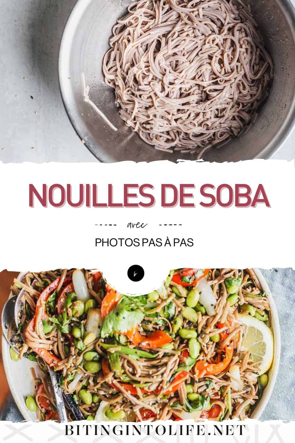 Nouilles soba avec oignons verts et edamame Mordre dans la vie