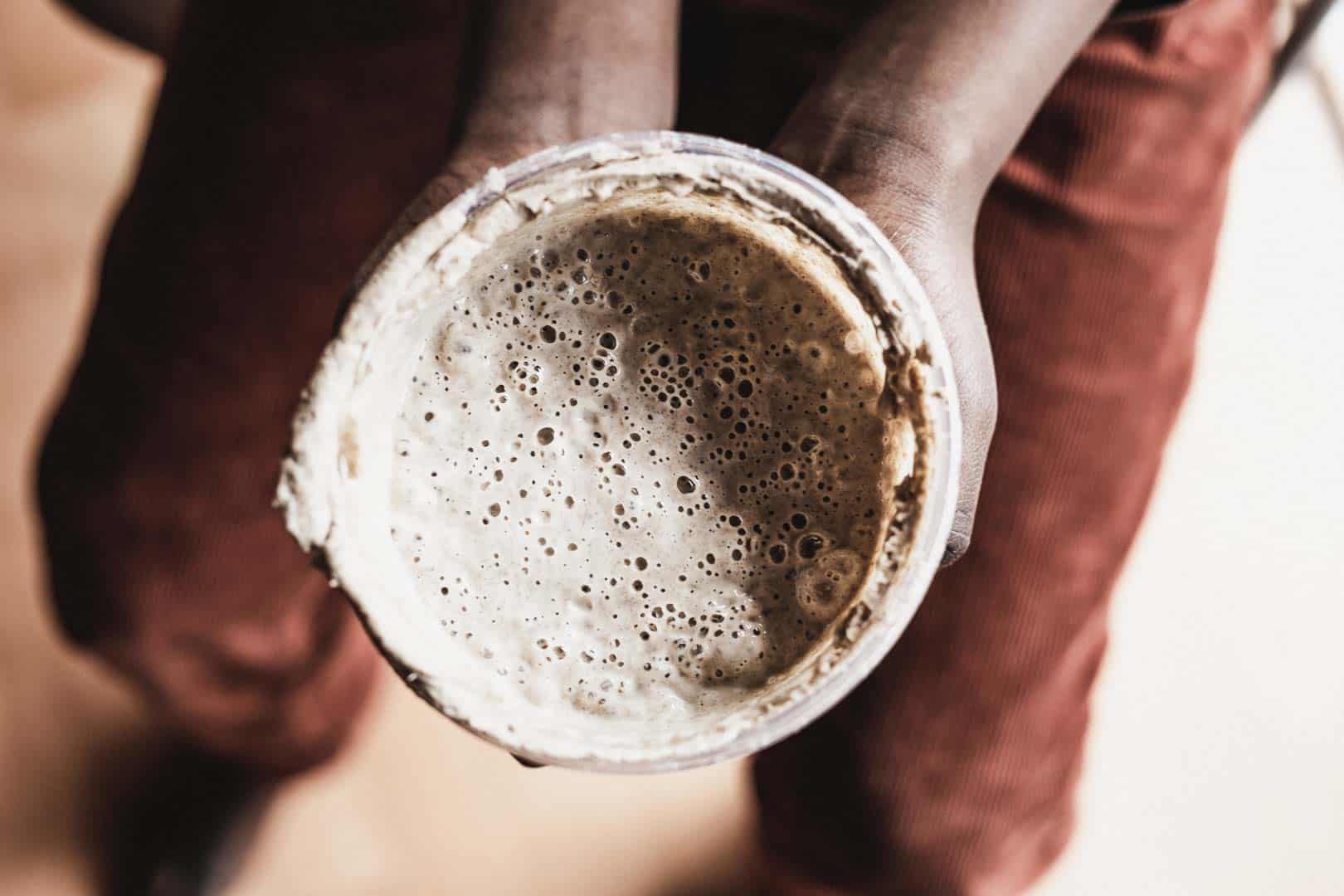 Bird's eye view of sourdough with bubbles in a small container held by two hands.