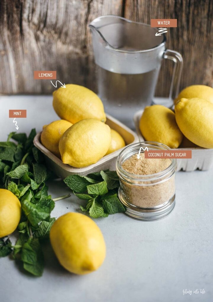 Easy Healthy Homemade Lemonade with Mint Biting into Life