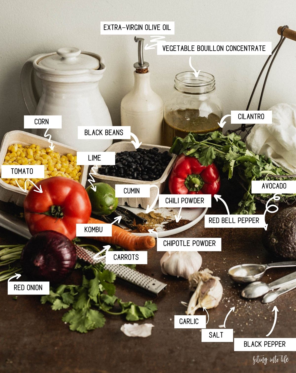 Black Bean Soup Ingredients (spread on a surface