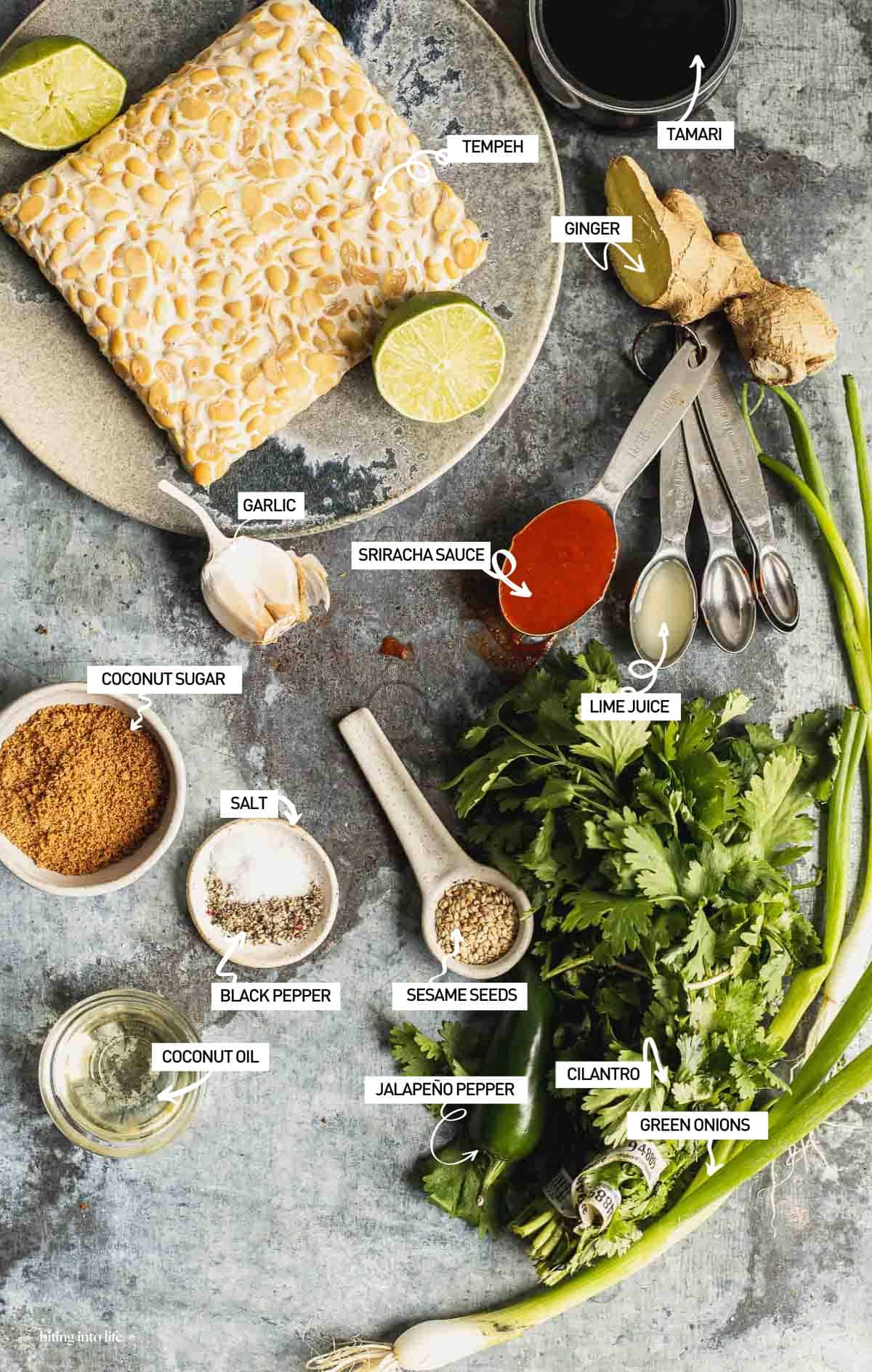 Sticky tempeh ingredients spread on a surface.